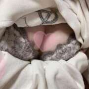 ヒメ日記 2025/11/08 01:32 投稿 める アイドルチェッキーナ本店