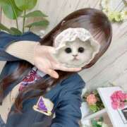 ヒメ日記 2025/03/14 16:54 投稿 柏木　ななこ つくば風俗エキスプレス   ヌキ坂46