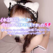 ヒメ日記 2025/03/29 16:19 投稿 柏木　ななこ つくば風俗エキスプレス   ヌキ坂46