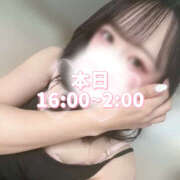 柏木　ななこ いるよ💕 つくば風俗エキスプレス   ヌキ坂46