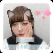 ヒメ日記 2025/03/14 17:22 投稿 ゆうか 白いぽっちゃりさん五反田店