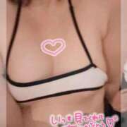 ヒメ日記 2025/11/23 18:59 投稿 ゆうか 白いぽっちゃりさん五反田店