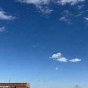 ヒメ日記 2026/02/13 00:49 投稿 ゆうか 白いぽっちゃりさん五反田店