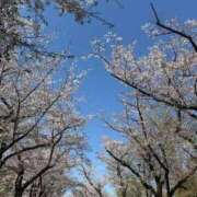 ヒメ日記 2026/04/05 15:10 投稿 ゆうか 白いぽっちゃりさん五反田店