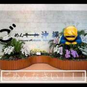 ヒメ日記 2026/04/14 10:54 投稿 ゆうか 白いぽっちゃりさん五反田店