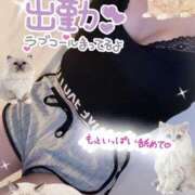 ヒメ日記 2025/03/18 10:45 投稿 まり eroina