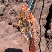 ヒメ日記 2025/03/21 12:06 投稿 まり eroina