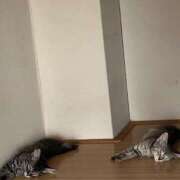 ヒメ日記 2025/06/23 19:10 投稿 まり eroina