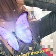 ヒメ日記 2025/04/12 13:26 投稿 ゆりえ スイートマダム古河店