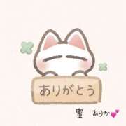 ヒメ日記 2025/03/24 09:08 投稿 楠　ありか ソープランド蜜 人妻・美熟女専門店