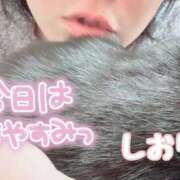 ヒメ日記 2025/09/15 06:41 投稿 しおり セレブクエスト-Nishikawa-