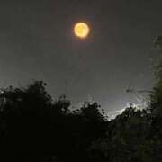 ヒメ日記 2025/09/10 17:21 投稿 はづき セレブクエスト-Nishikawa-