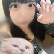 ヒメ日記 2025/10/12 08:53 投稿 りつ アメリカンクリスタル