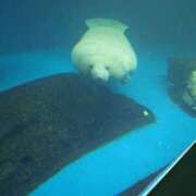 ヒメ日記 2025/05/25 19:30 投稿 まな セレブクエスト-Nishikawa-