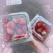 ヒメ日記 2025/04/19 17:21 投稿 いと 池袋あられ