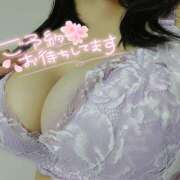 ヒメ日記 2025/03/23 00:38 投稿 まき 静岡駅前ちゃんこ