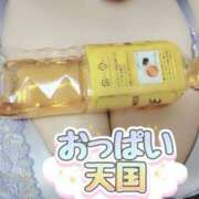 ヒメ日記 2025/03/24 17:24 投稿 まき 静岡駅前ちゃんこ