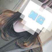 ヒメ日記 2025/03/24 23:38 投稿 まき 静岡駅前ちゃんこ