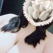 ヒメ日記 2025/03/25 19:58 投稿 まき 静岡駅前ちゃんこ