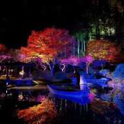 ヒメ日記 2025/11/16 20:03 投稿 せつな 秋葉原コスプレ学園in仙台