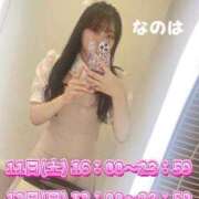 ヒメ日記 2025/10/07 07:20 投稿 なのは チューリップ姫路店