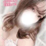 ヒメ日記 2025/09/12 22:31 投稿 なの ごほうびSPA池袋店