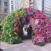 ヒメ日記 2025/03/22 19:19 投稿 しずか モアグループ南越谷人妻花壇