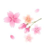 ヒメ日記 2025/03/30 20:34 投稿 しずか モアグループ南越谷人妻花壇