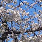 ヒメ日記 2025/04/04 22:30 投稿 みずほ 性腺熟女100％（デリヘル市場）