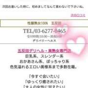 ヒメ日記 2026/10/16 11:30 投稿 みずほ 性腺熟女100％本店（デリヘル市場）