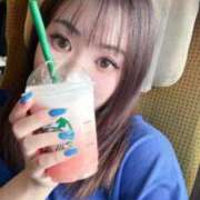 ヒメ日記 2025/08/12 17:12 投稿 セイナ バニーコレクション秋田店