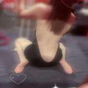 ヒメ日記 2025/11/15 13:43 投稿 セイナ バニーコレクション秋田店