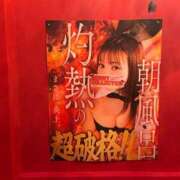 ヒメ日記 2026/05/15 06:41 投稿 セイナ バニーコレクション秋田店