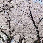 ヒメ日記 2025/04/06 09:30 投稿 みずほ 性腺熟女100％鶯谷（デリヘル市場）