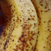 ヒメ日記 2025/08/26 19:30 投稿 みずほ 性腺熟女100％鶯谷（デリヘル市場）