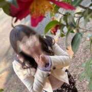 ヒメ日記 2026/04/09 15:43 投稿 ゆりか 熟女の風俗最終章 八王子店