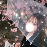 ヒメ日記 2026/03/19 10:32 投稿 うた 聖女(マリア)