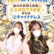 うた お月見うさぎ🤍 聖女(マリア)