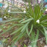 ヒメ日記 2026/04/25 16:35 投稿 如月みく コウテイ