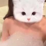 ヒメ日記 2025/04/19 12:20 投稿 かれん 横浜人妻花壇本店