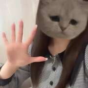 ヒメ日記 2025/05/03 12:54 投稿 かれん 横浜人妻花壇本店