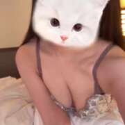 ヒメ日記 2025/05/04 11:58 投稿 かれん 横浜人妻花壇本店