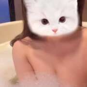 ヒメ日記 2025/05/22 10:09 投稿 かれん 横浜人妻花壇本店