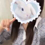 ヒメ日記 2025/05/31 12:03 投稿 かれん 横浜人妻花壇本店