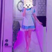 ヒメ日記 2025/03/19 18:56 投稿 れなたん イクイクサークル鶯谷店