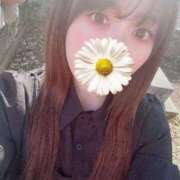 ヒメ日記 2025/04/20 13:26 投稿 れなたん イクイクサークル鶯谷店