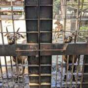 ヒメ日記 2025/09/15 15:07 投稿 すみれ 沼津人妻花壇