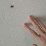 ヒメ日記 2025/11/26 09:38 投稿 すみれ 沼津人妻花壇