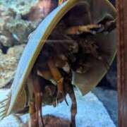 ヒメ日記 2026/01/30 19:08 投稿 すみれ 沼津人妻花壇