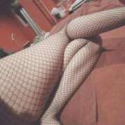 ヒメ日記 2025/04/28 11:40 投稿 ミソノ【一夜だけじゃ物足りない♥】 ドMなバニーちゃん和歌山店